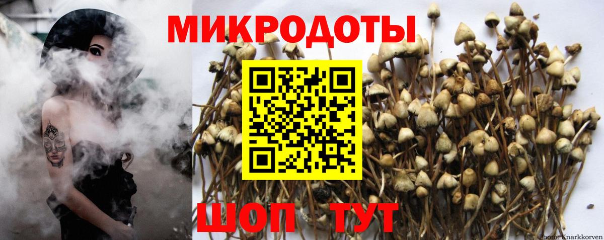 Галлюциногенные грибы мухоморы  Псилоцибиновые грибы Magic Shrooms  Вход с VPN  Алейск 