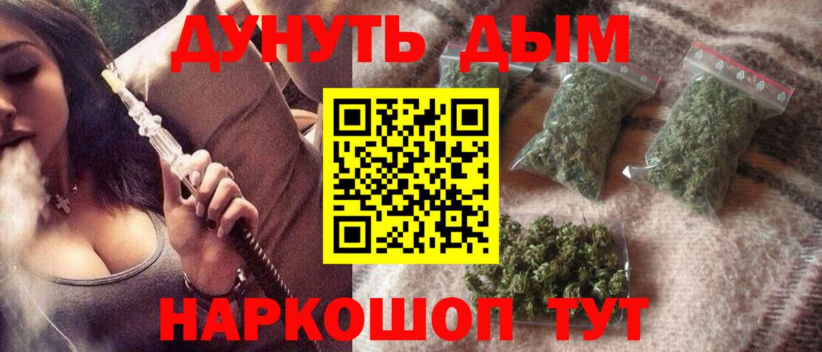 Конопля планчик Алейск